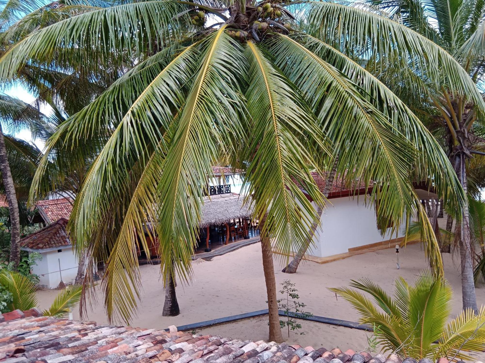 Ibisbird Beach Bungalows, Sport, Spa And Restaurant Tangalle Exterior foto